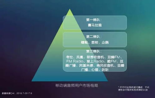 2017中國網(wǎng)絡(luò)視聽發(fā)展報告 用戶付費(fèi)意識崛起與網(wǎng)生內(nèi)容品質(zhì)化轉(zhuǎn)型